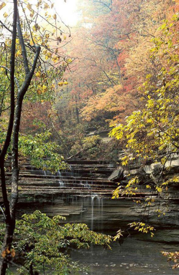 Clifty Inn Madison Dış mekan fotoğraf