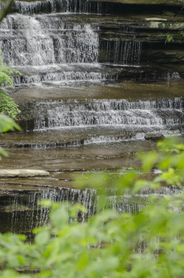 Clifty Inn Madison Dış mekan fotoğraf